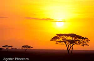 BL3A02_tanzanie_diaph_30_chaud